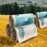 Бизнес в сельском хозяйстве