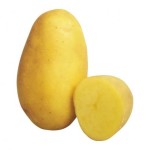 Семена картофеля Колетте