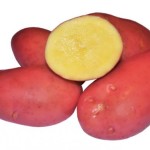 Семена картофеля Ред Фентази