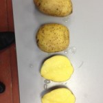 Картофель от производителя по выгодной цене