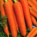 Морковь оптом от прямого поставщика!
