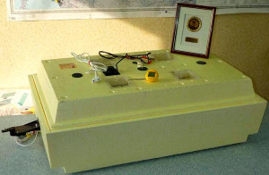 Фото: Легкий и компактный инкубатор Золушка на 98 яиц