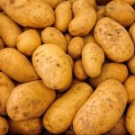 Картофель оптом от производителя от 7,50 за кг