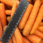 Продаем лом мытой моркови.